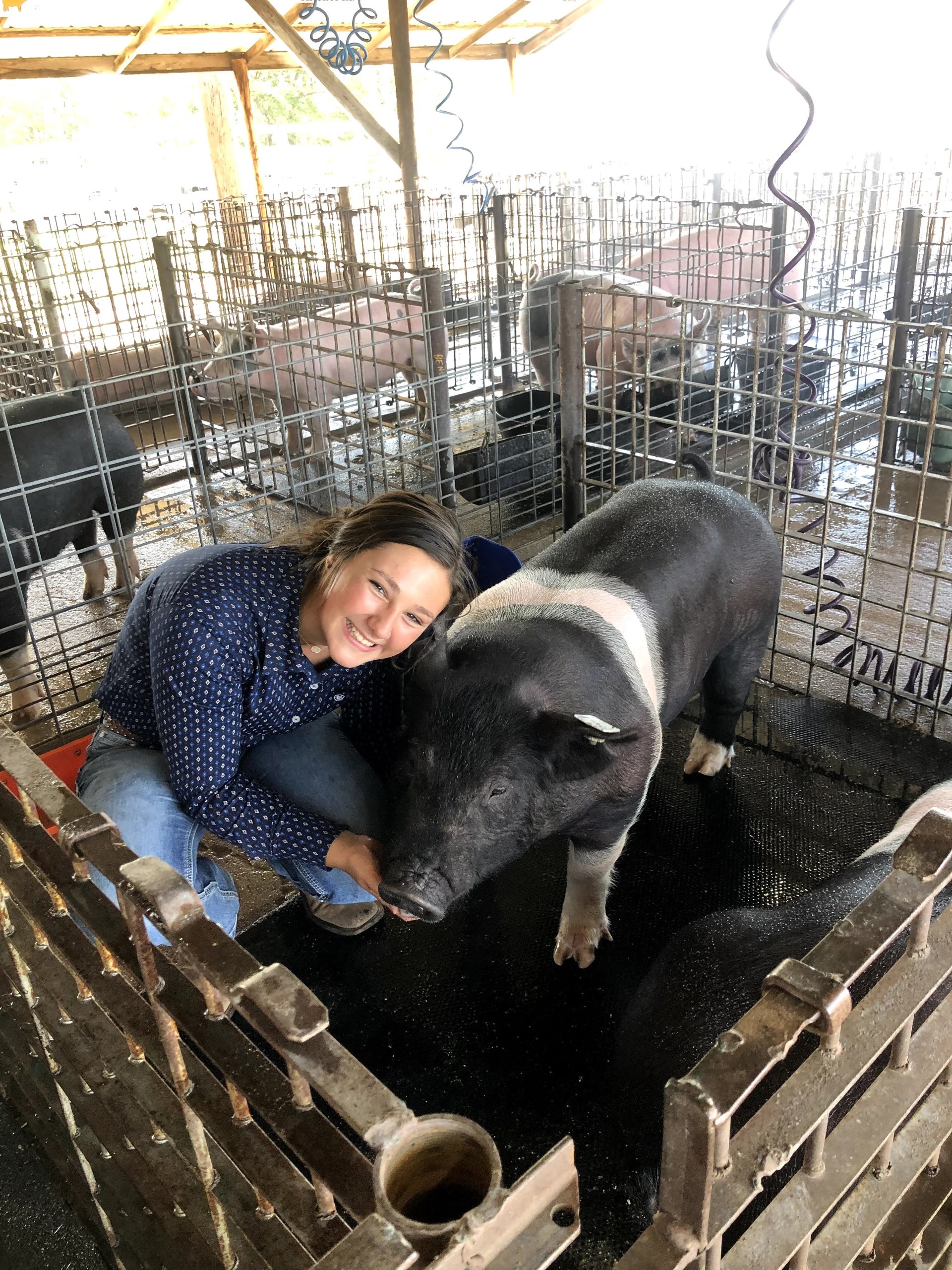 Cheyenne County Fairgrounds Project Fund 